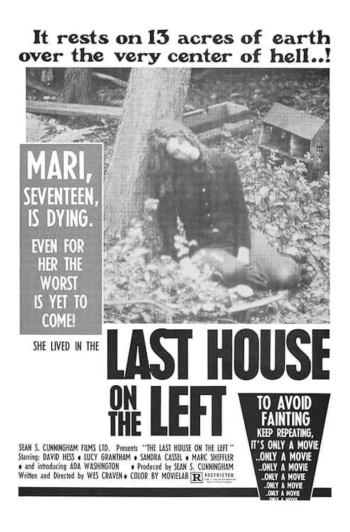 The Last House on the Left film posteri