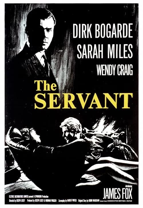 The Servant film posteri